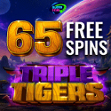 SlotoStars Casino | EXCLUSIVE BONUS | Gambling City Network